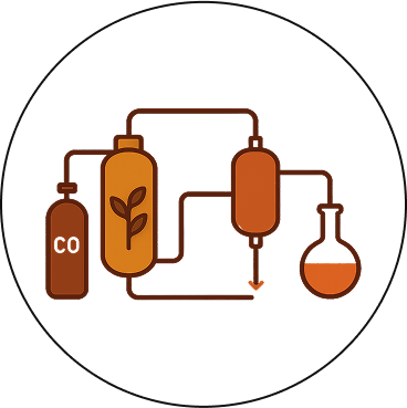 CO₂ Extracted Oil